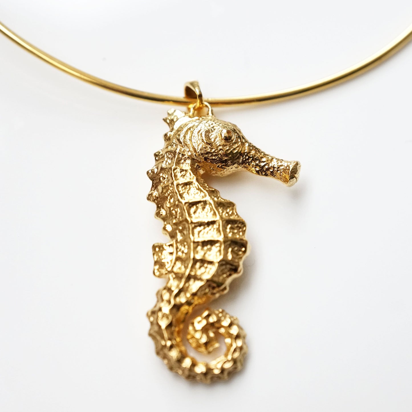 Sea Horse