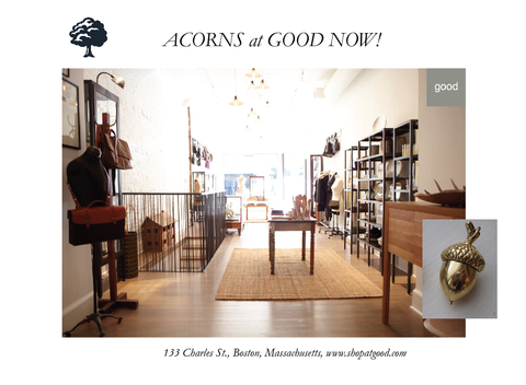 Photo of the shop Good in Boston and the acorn charm