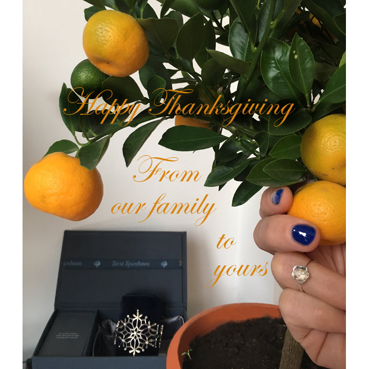 Happy Thanksgiving from our family to yours, photo of a hand picking an orange from a tree with snowflake cuff and cherry blossom ring 