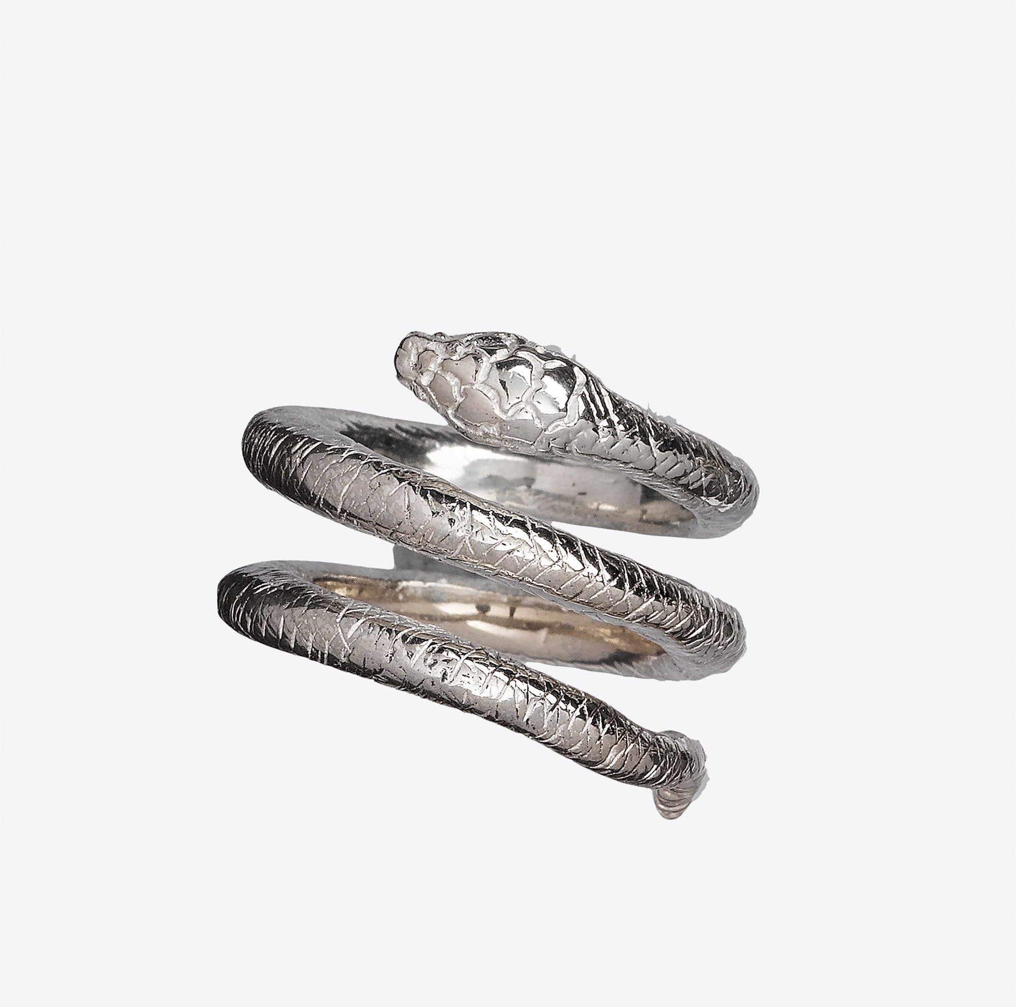 Snake Wraps Coils Around Women